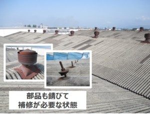 Read more about the article 築50年以上の古い工場建屋を補修＆暑さ対策して働きやすい環境作りをした事例